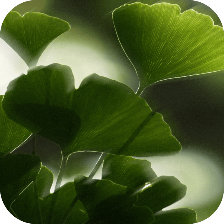 skincare-ingredient-botanical-extracts