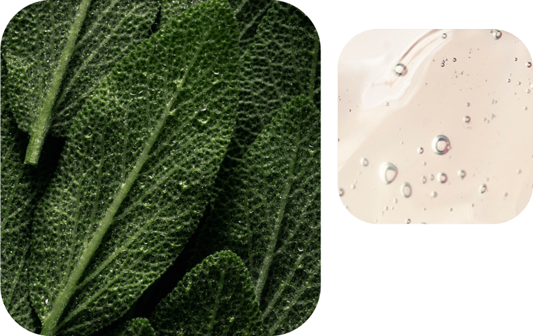 smoky-green-vetiver-smell