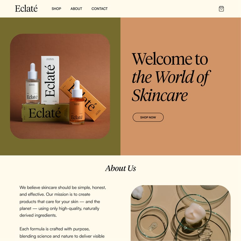 template-section.carousel-2.image-3.alt